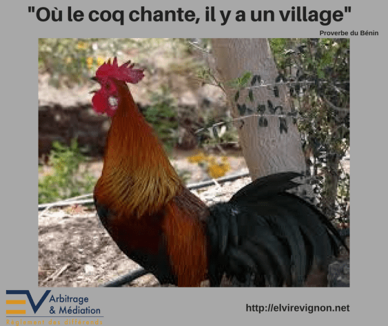 Coq, volaille
