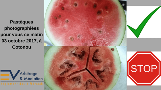 Pastèque, fruit, chlorfenuron